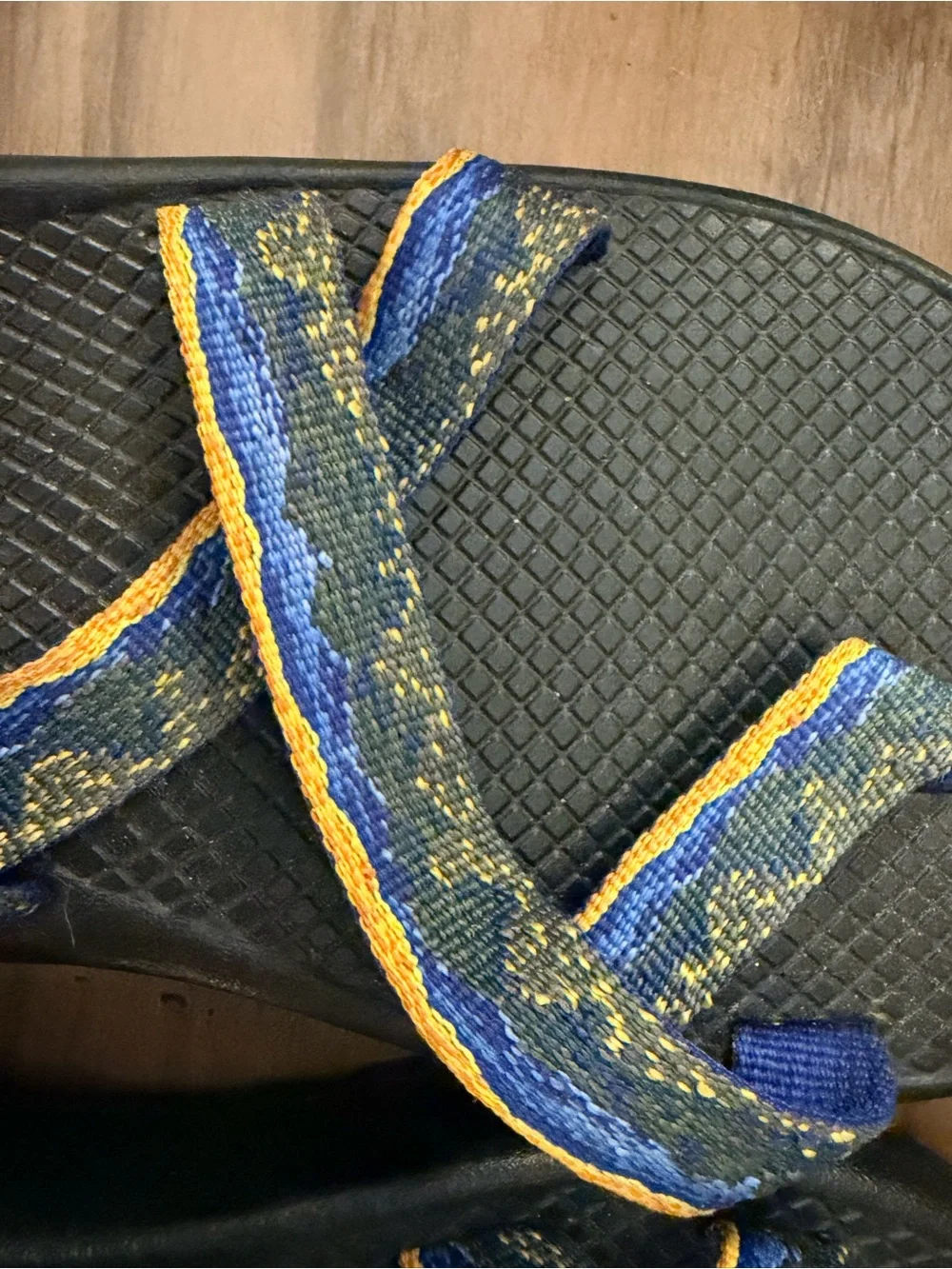 NWOT Chaco Sandals - National Park Foundation Limited Edition - Men’s 9